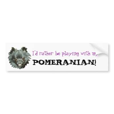 Black Pomeranian-I'd rather be playing with my POM Bumper Stickers by tyslilgrl