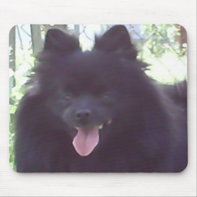 Black Pomeranian Mousepad by tyslilgrl