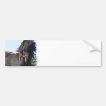 Black Pony Bumper Sticker