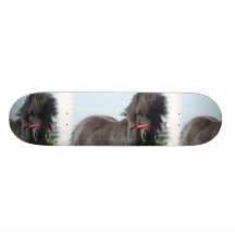 Black Pony  Skateboard