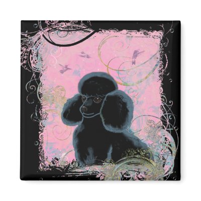Black Poodle Hummingbirds Art Magnet by greerdesign