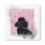 Black Poodle Portrait with Hummingbirds Magnet