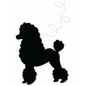Black Poodle Skirt Shirt