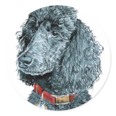 Black Poodle Whitney Stickers by mozache