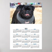 Black pug 2012 Calendar poster