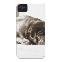 Black Pug Case-Mate iPhone 4 Cases