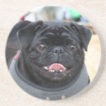 Black pug coaster