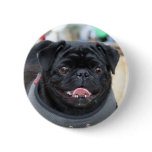 Black Pug Dog Button