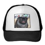 Black Pug Dog Hat