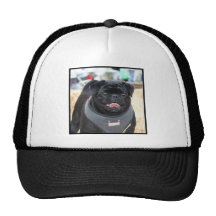 Black Pug Dog Hat