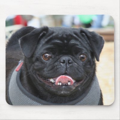 Black Pug Dog Mousepad by ritmoboxer
