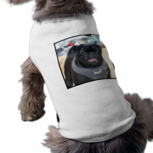 Black Pug Dog Pet Clothes