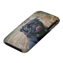 Black Pug Panting While Looking at Camera Case-Mate iPhone 3 Case