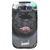 Black pug samsung galaxy s cover samsung galaxy SIII cases