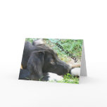 Black Puppy Happy Birthday Cards