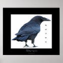 BLACK RAVEN Art Poster posters