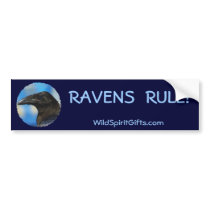 BLACK RAVEN Collection Bumper Stickers