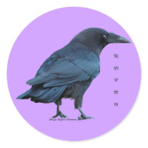 Black Raven Collection III Round Sticker