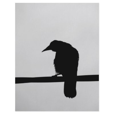 black raven full color flyer by laengauer