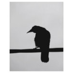 black raven full color flyer