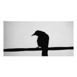 black raven photo cards