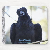 BLACK RAVEN TALKING