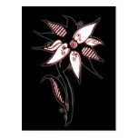 Black Red & White Swirly Flower by Naomi Post Card