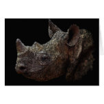 Black Rhino Card