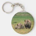 Black Rhino - Mother With Large Calf Key Chain