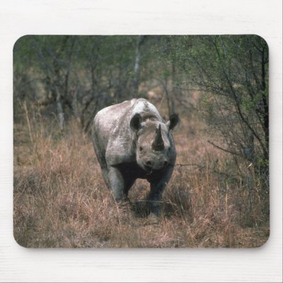 Black Rhino Mouse Pads by lolanimals