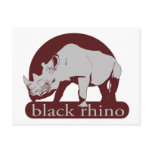 black rhino post cards