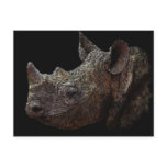 Black Rhino Post Cards