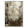 Black Rhinoceros Card