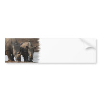 Black Rhinos Bumper Sticker
