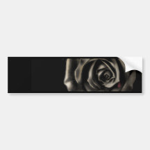 Black rose bumper sticker