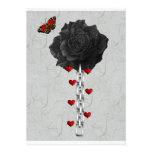 Black Rose Of Love Announcement