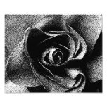 BLACK ROSE photography