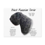 Black Russian Terrier History Design
