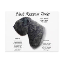 Black Russian Terrier History Design