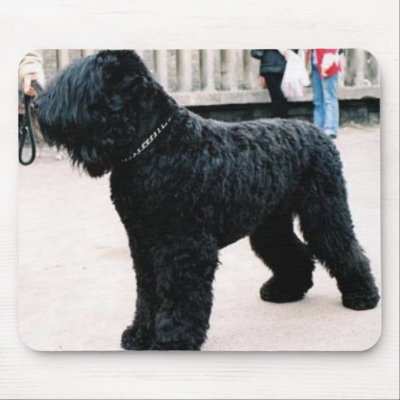 Black Russian Terrier Mousepad by ValentinaRose