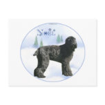 Black Russian Terrier Noel Postcards