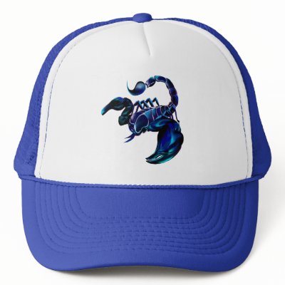 Black Scorpion hat by Lotacats