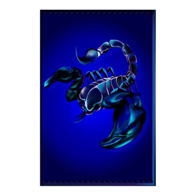 Black Scorpion Large Poster by Lotacats