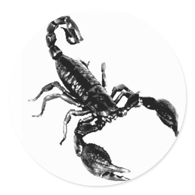 Black Scorpion on white sticker by grandhelm