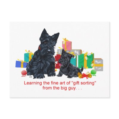 Black Scottie & Pup Christmas Post Card by MaggieRossScotties