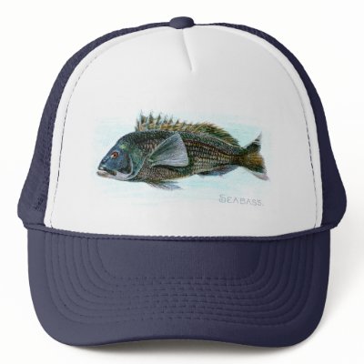Black Sea Bass Hats by pinkalmond