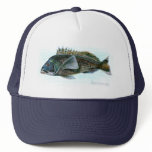 Black Sea Bass hats