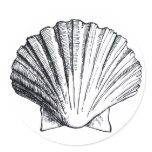 Black Sea Shell Sticker