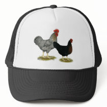 Black Sex-linked Chickens Hat