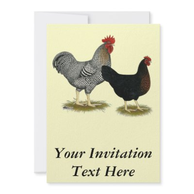 Black Sex-linked Chickens Personalized Announcement by diane_jacky
